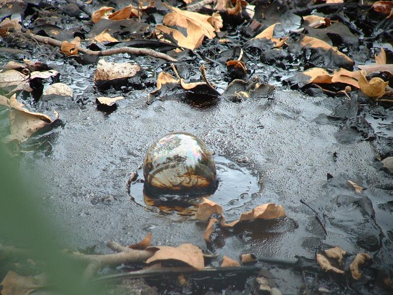 Some asphalt bubbling somewhere in the park.
