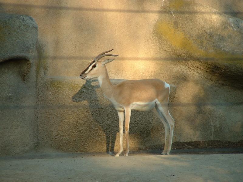 San Diego Zoo