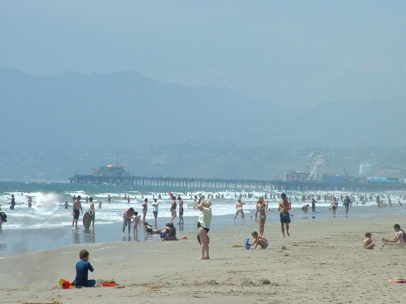 Santa Monica Pier from Venice Beach.