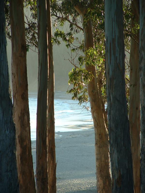 Sunset on the coast - near San Simeon.