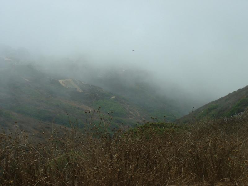 Fog at the Torrey Pines Glider Port, La Jolla