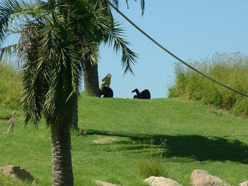 San Diego Wild Animal Park