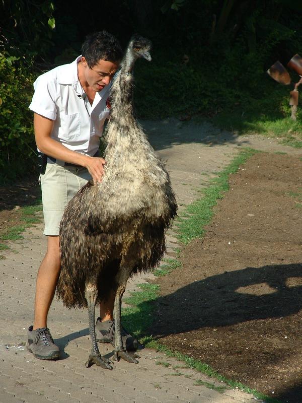 San Diego Wild Animal Park