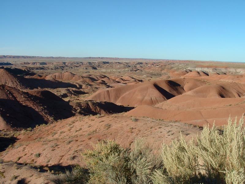 Painted Desert in the Petrified Forest National Park