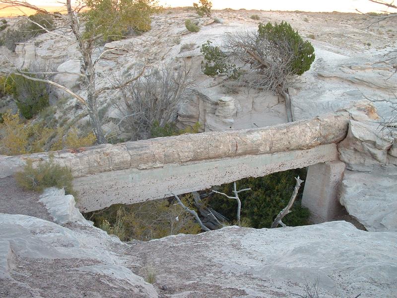 A petrified 'arch' (supported by concrete), PFNP