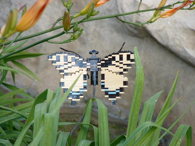 A Butterfly, Legoland with The Mulders