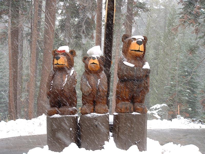 The 3 bears, Sequoia and Kings Canyon