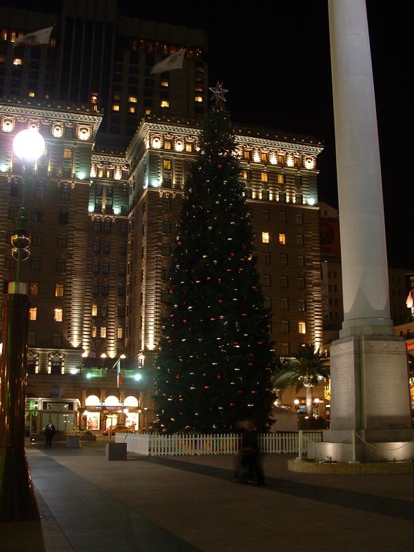 The 'unlit' Christmas tree in Union Square, San Francisco