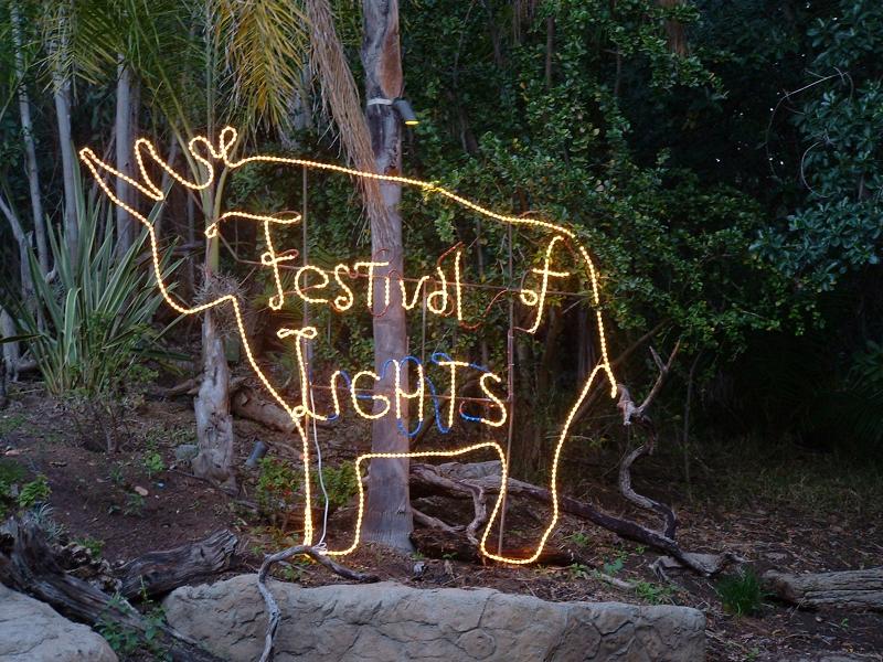 Festival of Lights at San Diego WIld Animal Park