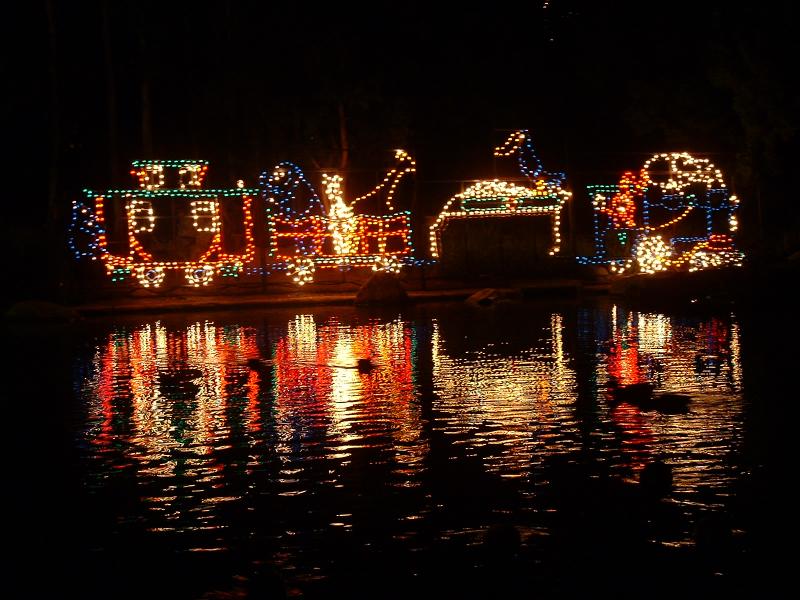 A train of lights reflected in the river, San Diego WIld Animal Park