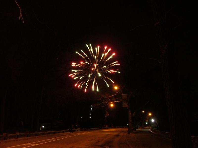 New Year's Eve fireworks in Central Park, New York City