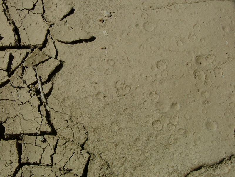 Evidence of the last rain fall, Geological Ranger led walk, Gower Gulch, Death Valley National Park