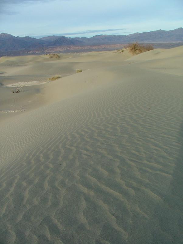 Sunset on the Sand Dunes, Death Valley National Park