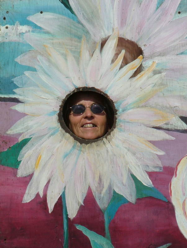 Mum being a flower, Ranunculus at the Carlsbad Flower Fields, Carlsbad, California