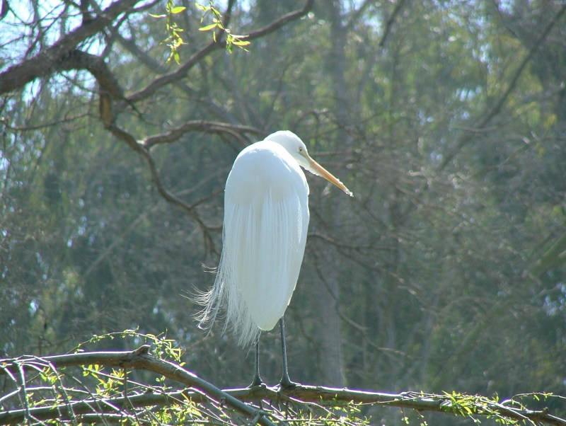 San Diego Zoo, San Diego, California