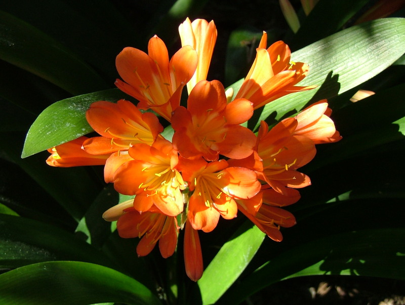 San Diego Zoo, San Diego, California