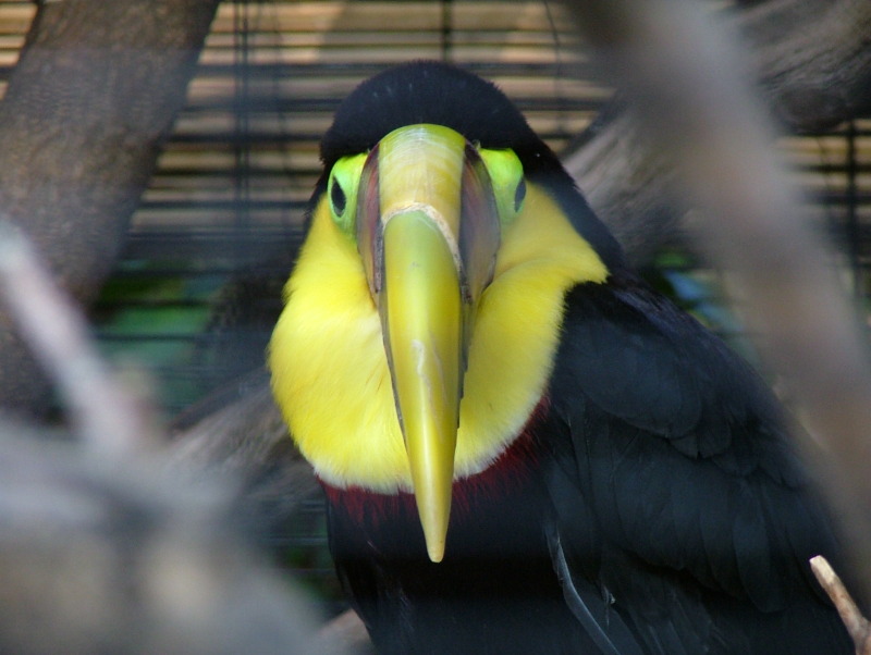 San Diego Zoo, San Diego, California