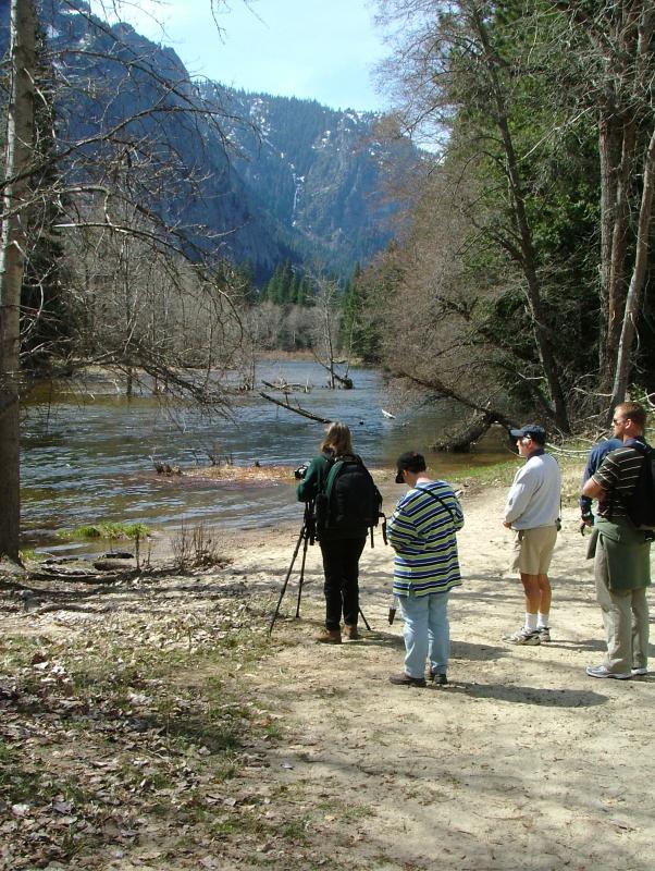 The Photography walk, Yosemite National Park, California