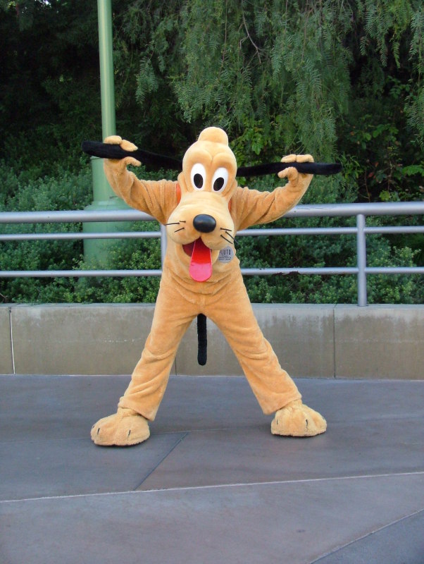 Posing Pluto, Disney's California Adventure, California