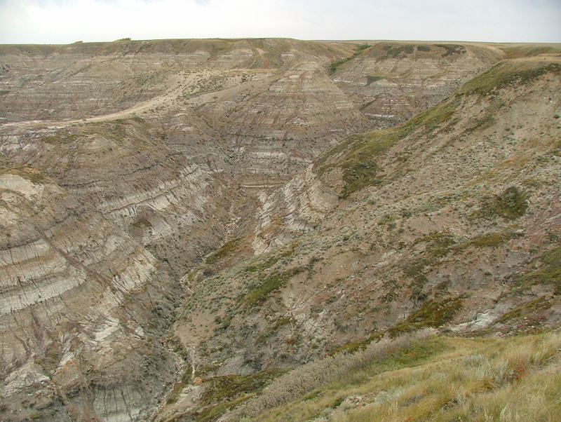 Horse Thief Canyon, Dinosaur Trail, Drumheller, Alberta, Canada