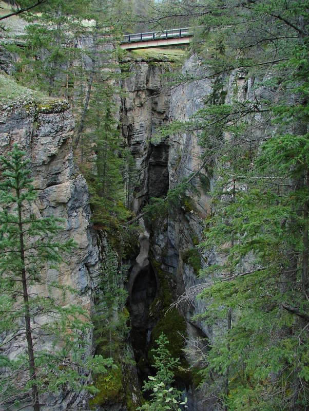 One of the bridges over Malign Canyon, Jasper National Park, Alberta, Canada