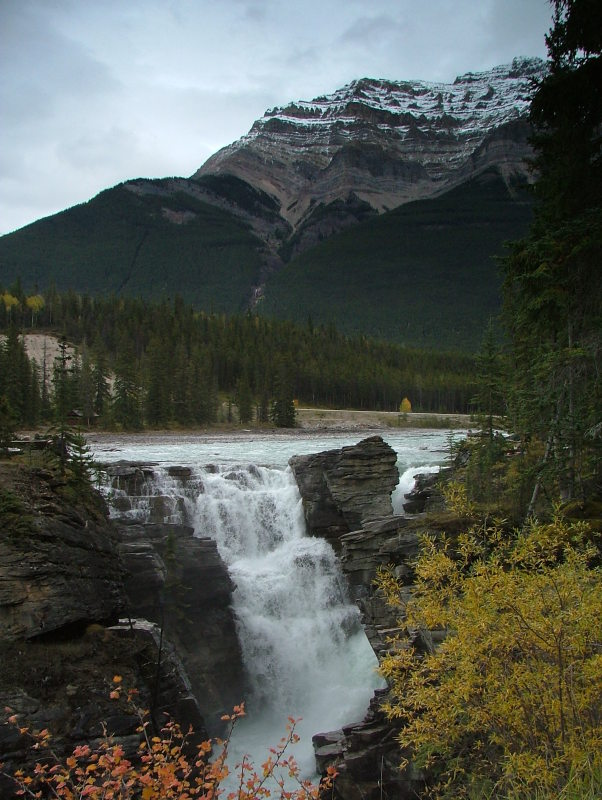 Icefields Parkway, Jasper to Banff, Alberta, Canada