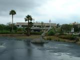 A Mammoth stuck in the La Brea Tar Pits.  This lake pit fibreglass models of animals caught in the asphalt.