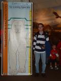 A comparison of the height of Rob with some living species.