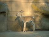 San Diego Zoo