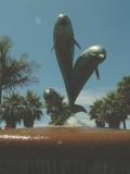 Water feature at Santa Barbara.