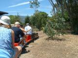 Goleta short line minuture-train ride.