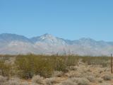 The desert - Ridgecrest.
