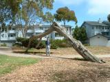 A park in Morro Bay