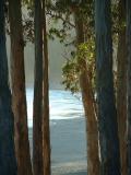 Sunset on the coast - near San Simeon.