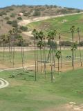 San Diego Wild Animal Park