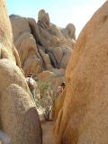 On the Geology walk in The Joshua Tree National Park