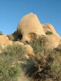 Skull Rock, Joshua Tree National Park Skull Rock, Joshua Tree National Park