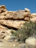 Rob on one of his rock climbing expeditions, JTNP