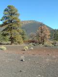 Self-guided walking trail at Sunset Crater NM