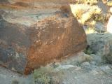 Newspaper Rock at Petrified Forest National Park