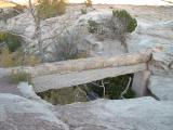 A petrified 'arch' (supported by concrete), PFNP
