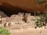Ruins in the Canyon walls, and petroglyphs, created by the Anasazi.