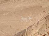 Petroglyphs left on Canyon walls in Canyon de Chelly