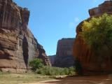 An incredible site, driving on the Canyon floor.