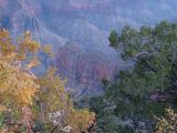 Grand Canyon, North Rim.