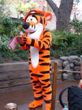 Tigger in Christmas gear, Disneyland