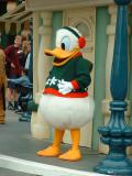 A duck in Christmas gear, Disneyland
