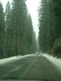 The road ahead - snow.  Sequoia and Kings Canyon