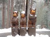The 3 bears, Sequoia and Kings Canyon