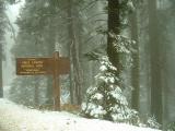 Entrance sign, covered in snow, Sequoia and Kings Canyon